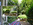 Die hintere Garten mit Loggia
