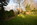 Der Garten am Haarenufer