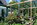 Der Garten