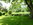 Sommerliche Impressionen
