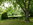 Sommerliche Impressionen