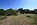 Blick in den großen Garten