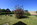 Blick in den großen Garten