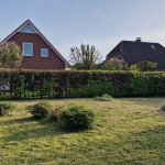 Blick in den Garten