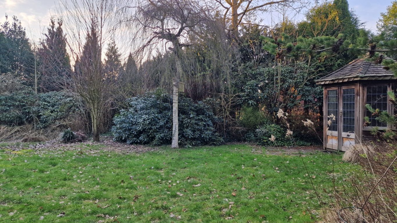 Der mittlere Bereich Auf diesem Foto wird der mittlere Bereich gezeigt