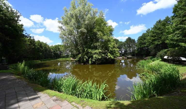 Diese Foto zeigt das bereits durch die HEYEN Immobilien vermittelte Freizeitgrundstück in Westerstede