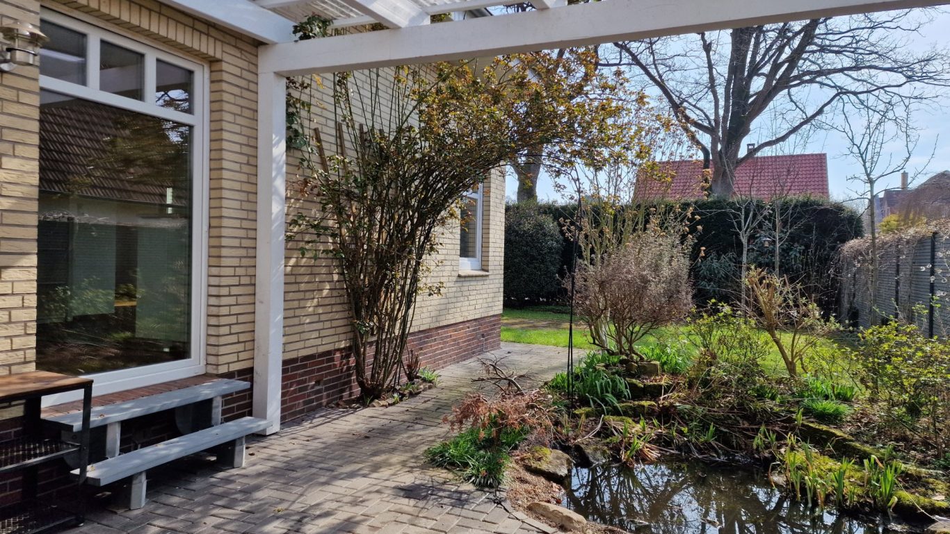 Der seitliche Garten Blick von der überdachten Terrasse