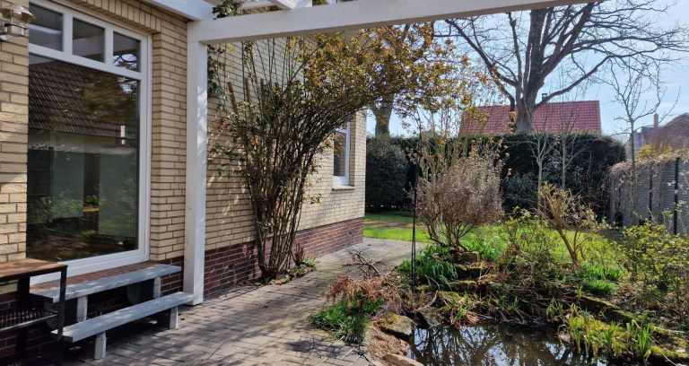 Dieses Foto zeigt einen schönen Blick in den Garten