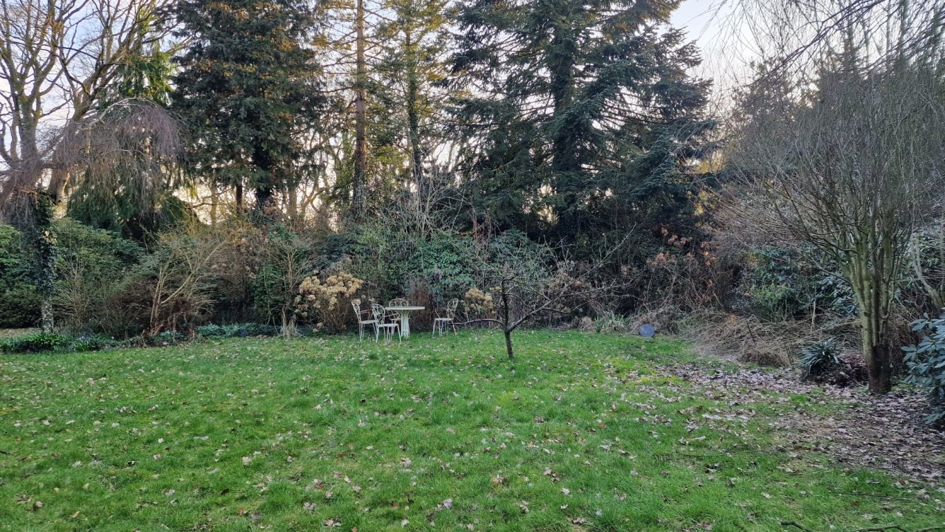 Der mittlere und hintere Bereich Auf diesem Foto wird der mittlere und hintere Bereich gezeigt