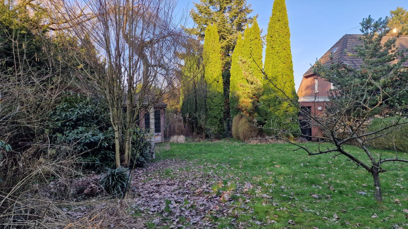 Der mittlere Bereich Auf diesem Foto wird der mittlere Bereich gezeigt