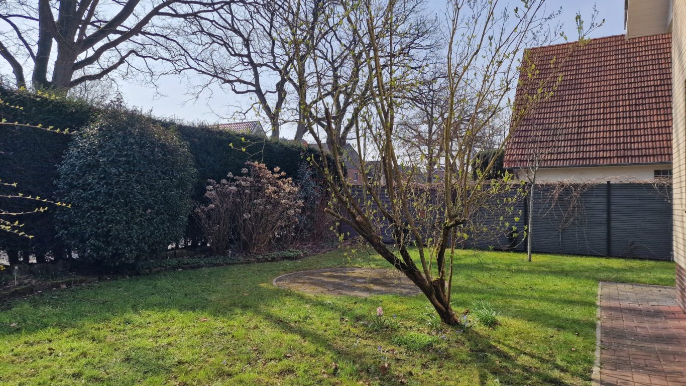 Der vordere Garten Blick in den vorderen Garten