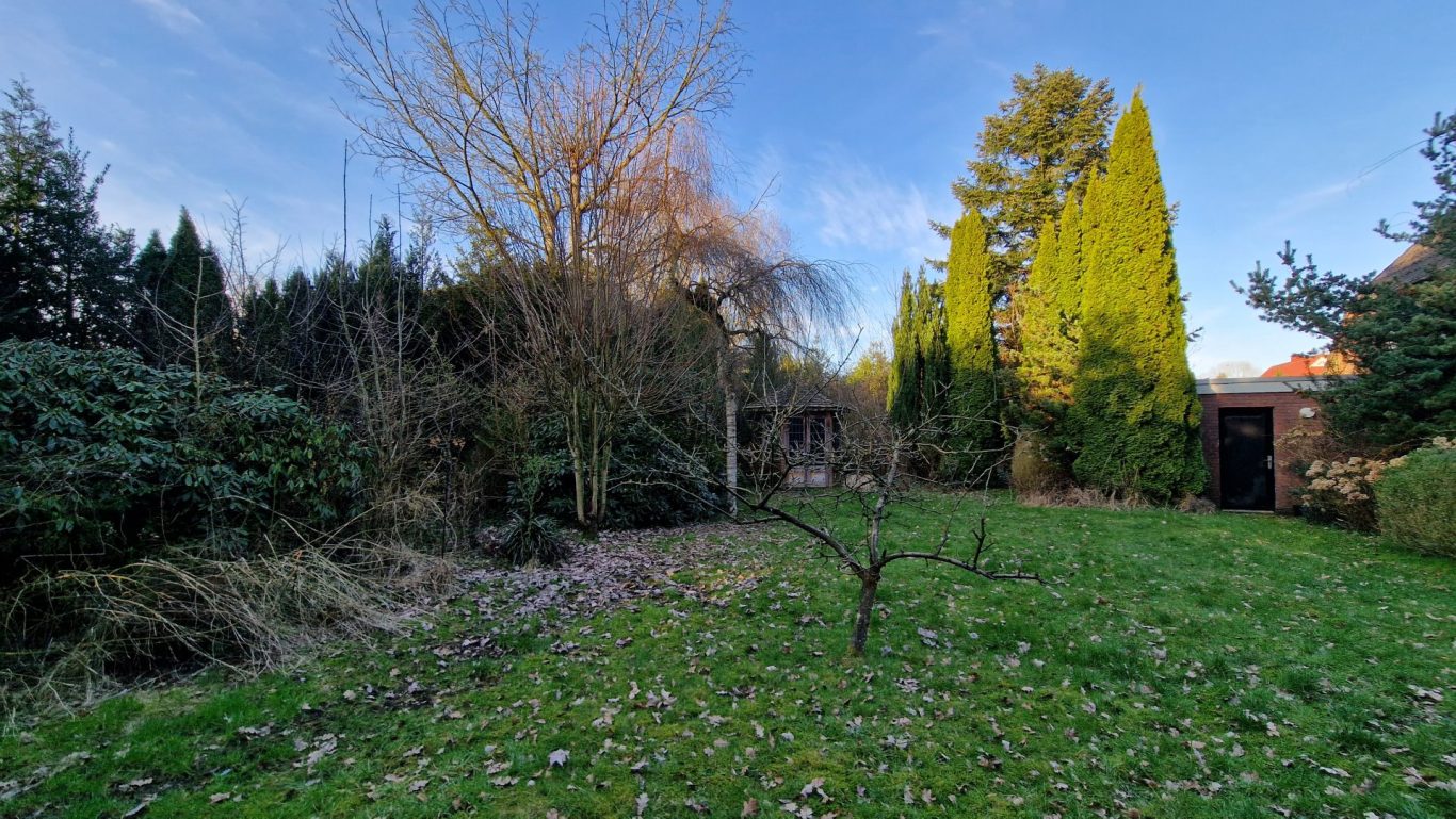 Der mittlere Bereich Auf diesem Foto wird der mittlere Bereich gezeigt