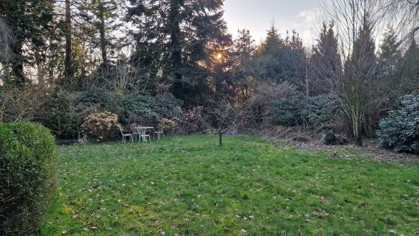 Der mittlere und hintere Bereich Auf diesem Foto wird der mittlere und hintere Bereich gezeigt