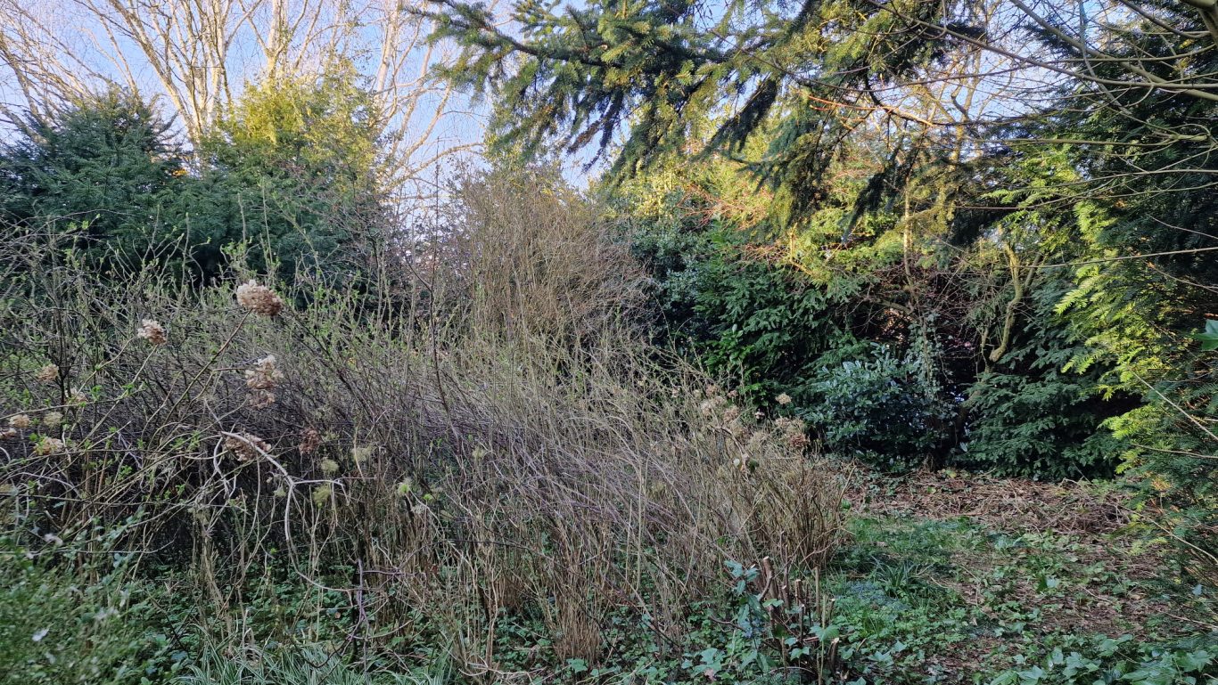 Der vordere Bereich Auf diesem Foto wird der vordere Bereich gezeigt